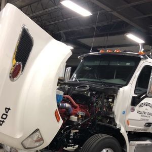 Meet your Posher, George